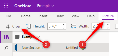 The file tab and crop option in OneNote for the Web
