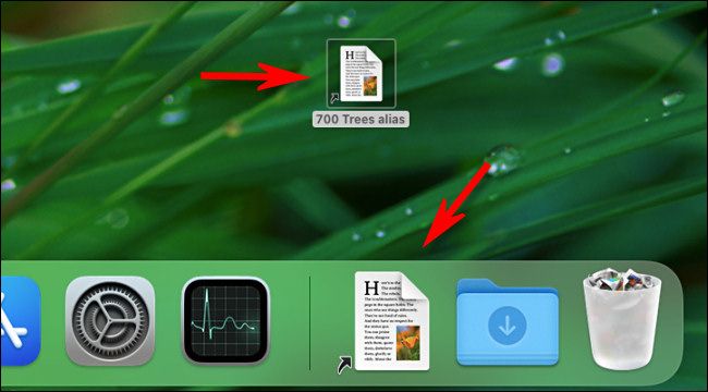 You can place an alias almost anywhere, including on your desktop or in the Dock.
