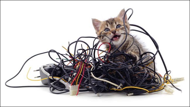 A kitten gnawing on a pile of wires.