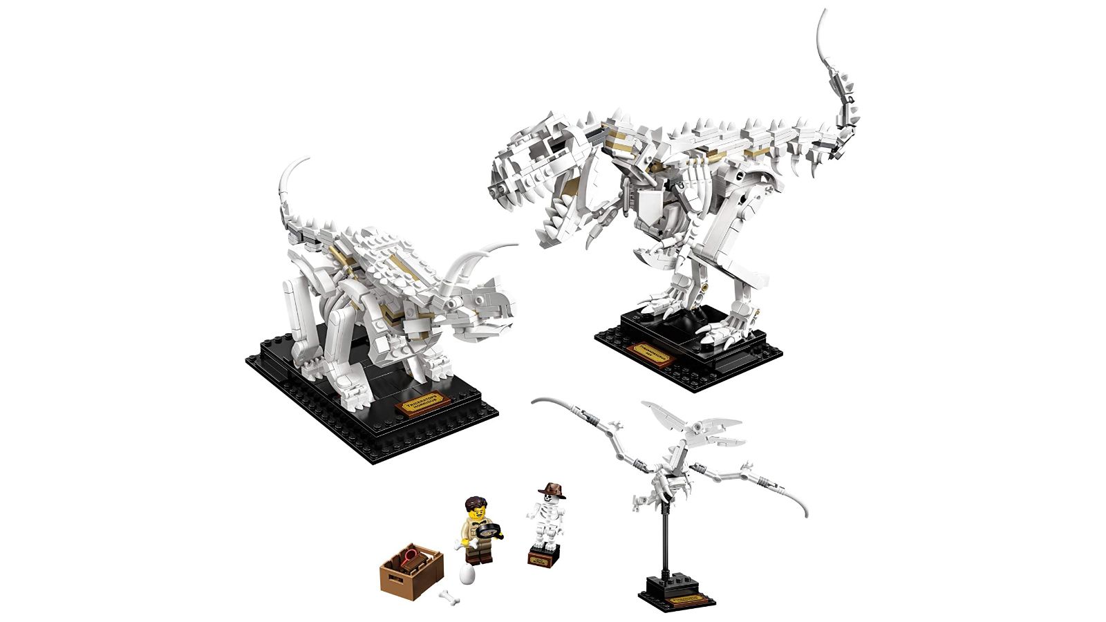 LEGO Ideas Dinosaur Fossils set