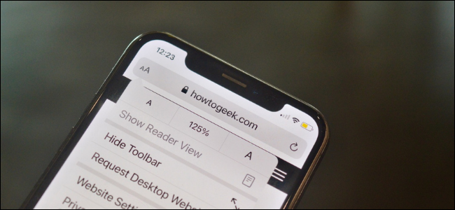 iPhone User Increasing Text Size in Safari for iPhone