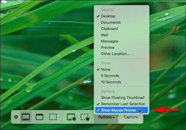 In the Mac screenshots Options menu, select "Show Mouse Pointer."