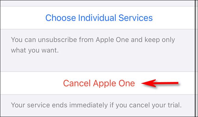 Tap "Cancel Apple One."