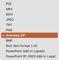 Click File Format and pick Animated GIF