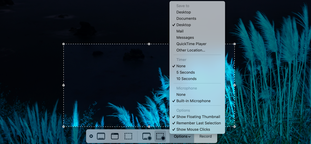 Screenshot app on Mac