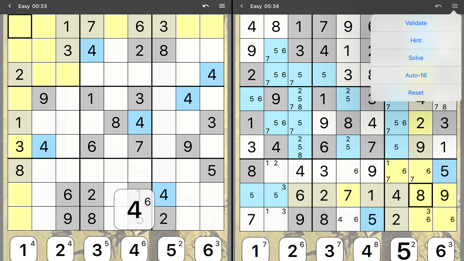 Sudoku puzzle in progress, and in-game options menu