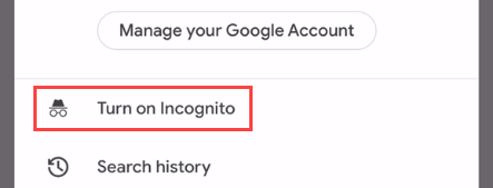 Select "Turn on Incognito" from menu.