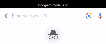 UI while in Incognito Mode.