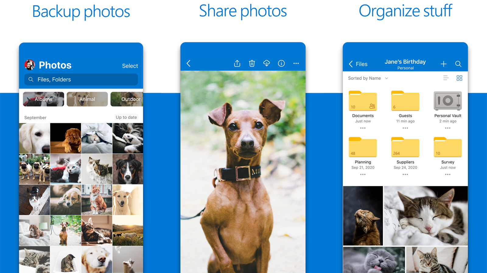 Microsoft OneDrive app for storing, backing up, sharing, and organizing your photos