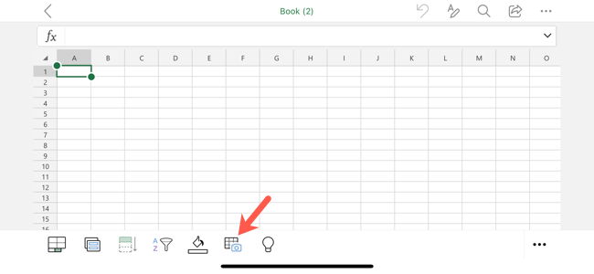 Data From Picture icon in Excel on Mobile