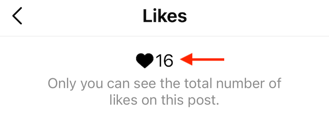 Only you will be able to see the Like count on your own posts. 