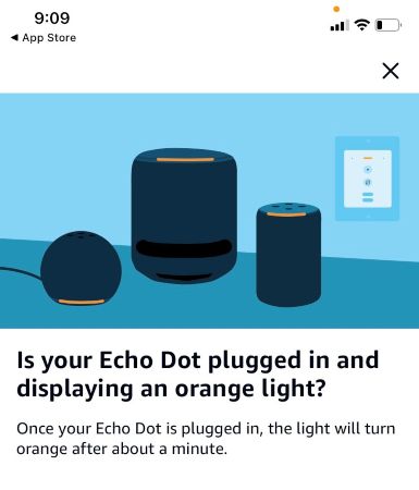 The Alexa app asking if an Echo Dot is displaying an orange light.
