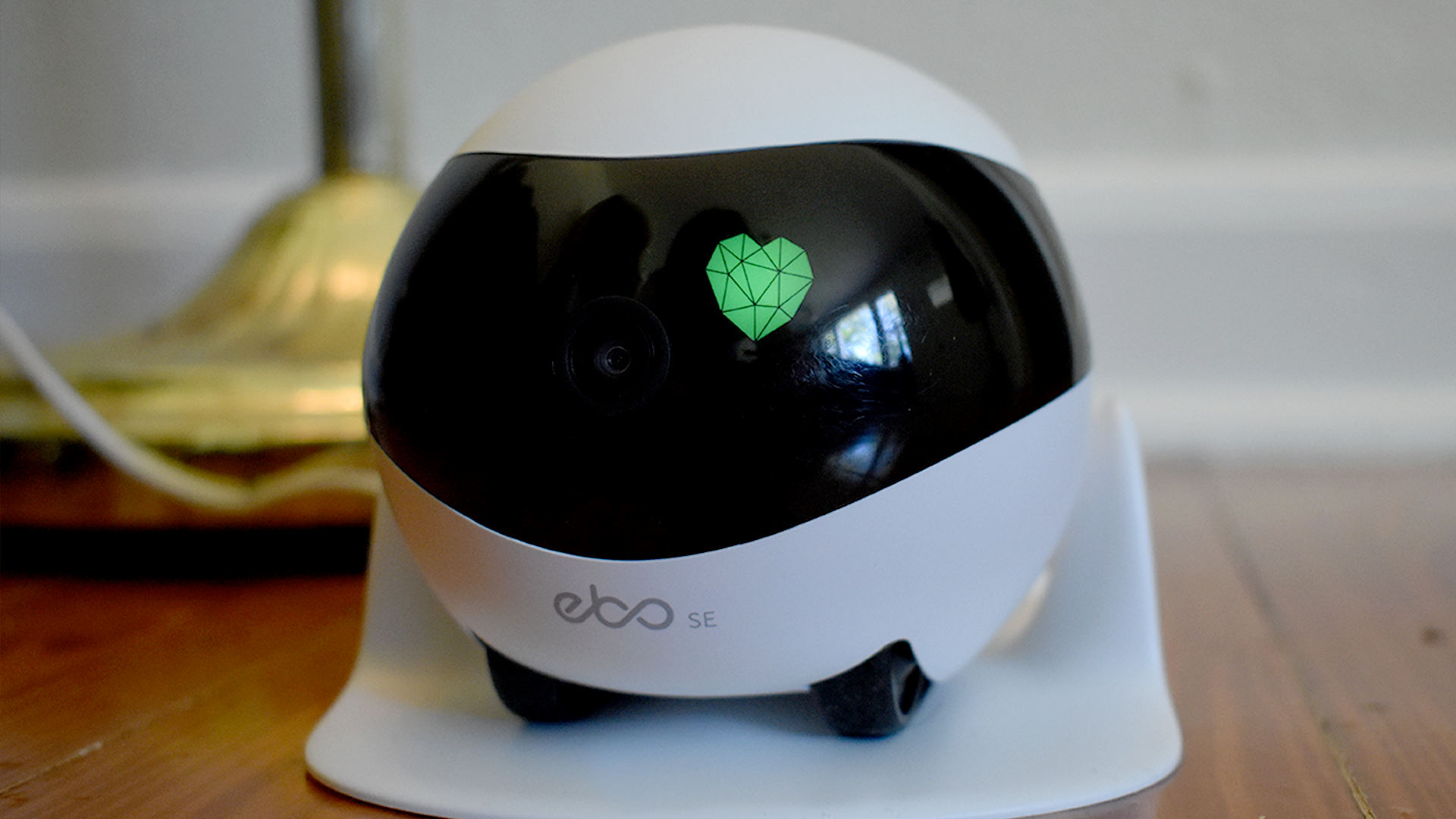 Ebo SE Review: A Cute, Fun, and Misguided Toy for Cat Owners