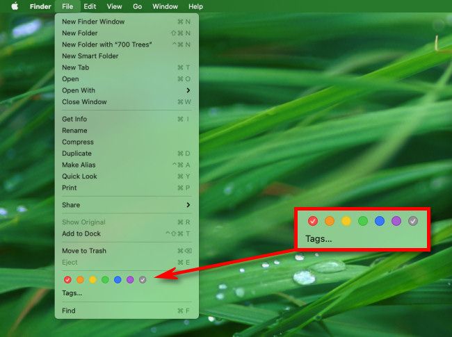 Select a file or folder in Finder and click File, then select a tag circle color.