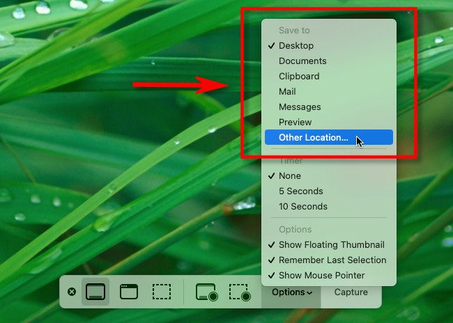 In macOS screenshots, click "Options," then select the "Save To" location.