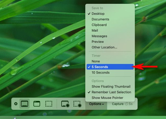 Click the "Options" menu in the Mac screenshot toolbar, then select a timer option.