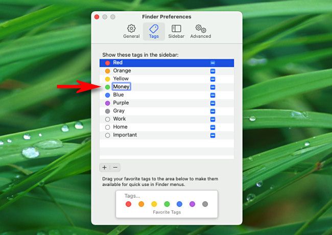 In Finder preferences, you can rename tags.