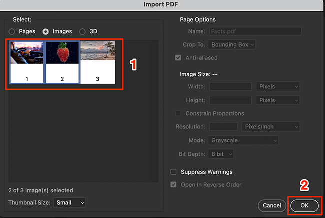Select images to extract on the Photoshop's "Import PDF" window.