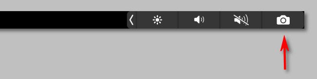 Tap the camera icon on the Touch Bar to trigger the Screenshot toolbar.