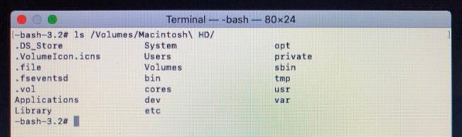 List Directory Contents in Terminal