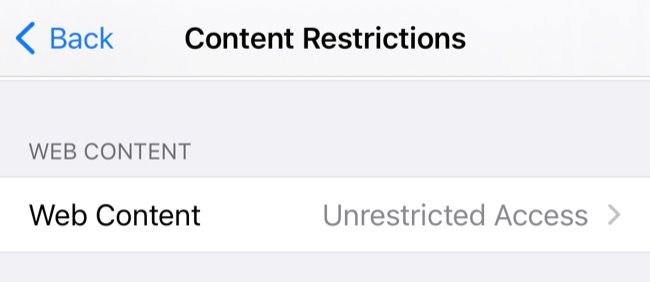Web Content Restrictions in iOS/iPadOS
