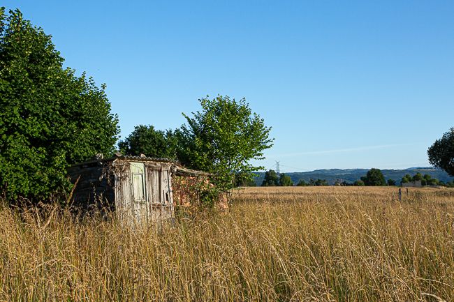 An abandoned shack in an overgrown field