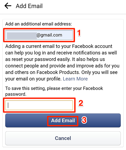 Enter an email and password on the "Add Email" screen in Facebook.