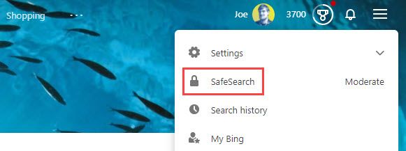 Select "Safe Search."