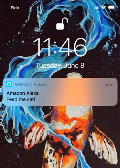 Amazon notification action sample