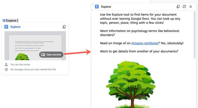 Preview a document in Google Docs