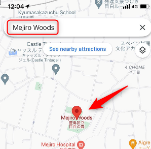 Search for a location in the Google Maps app