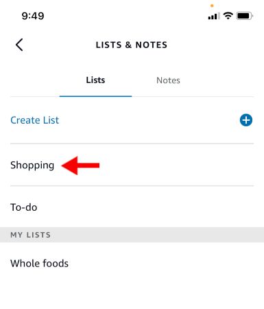 List and notes page in Alexa app.