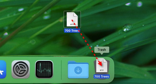 Drag an icon to the Trash on a Mac.