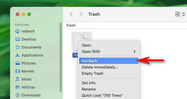 In the Trash folder, right click an item and select 