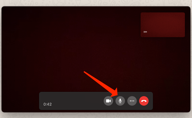 Microphone icon in a WhatsApp video call on Mac.
