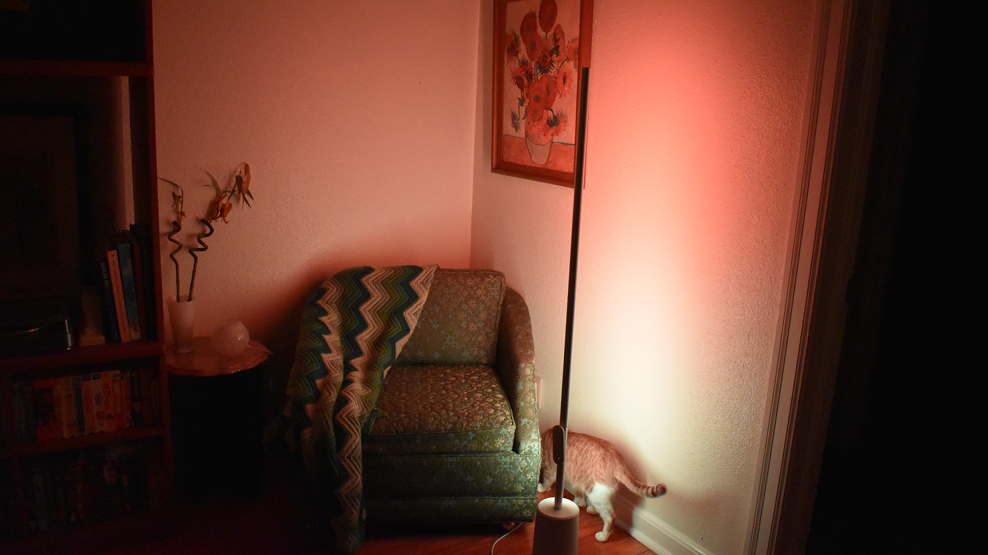 The Lyra lamp shining a green and red light.