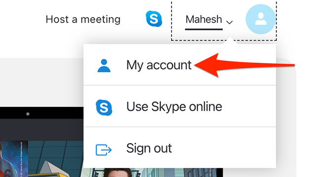 Select "My Account" on the Skype site.
