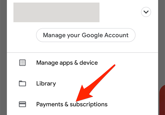 Select "Payments & Subscriptions" in the Google Play Store.