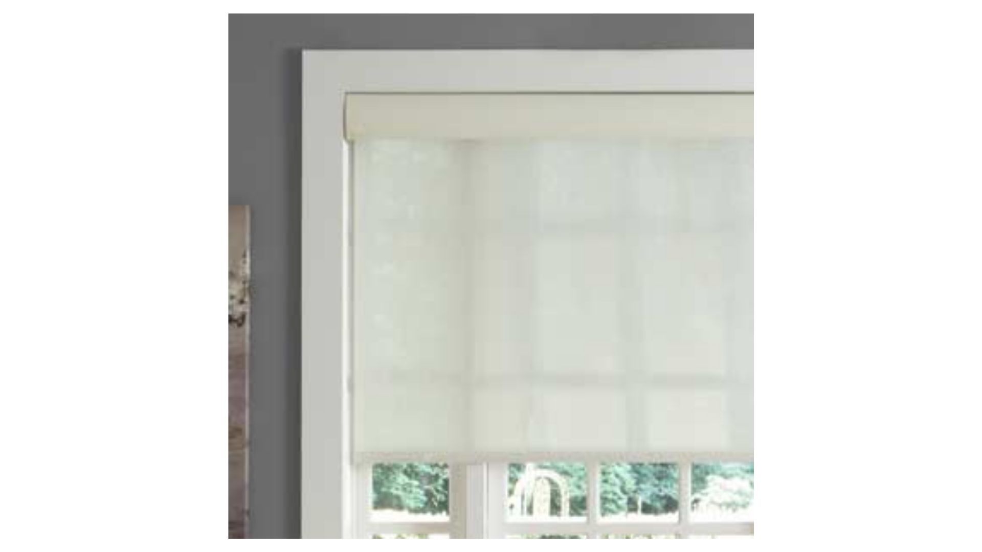 Smart Roller Shades by Serena by Lutron