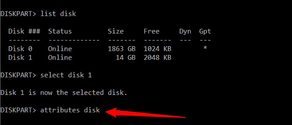 Type "attributes disk"
