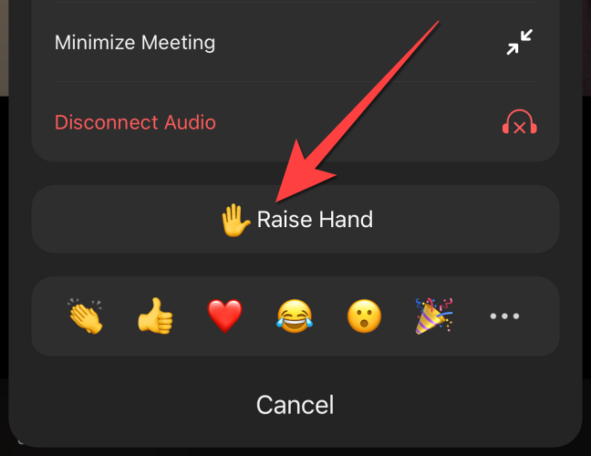Select "Raise Hand" button to raise hand in Zoom mobile app.