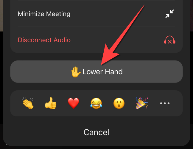 Select "Lower Hand" button to lower your hand in Zoom mobile app.