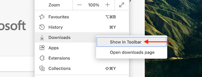 Right-click the &quot;Downloads&quot; option in toolbar, and select the &quot;Show in Toolbar&quot; option.