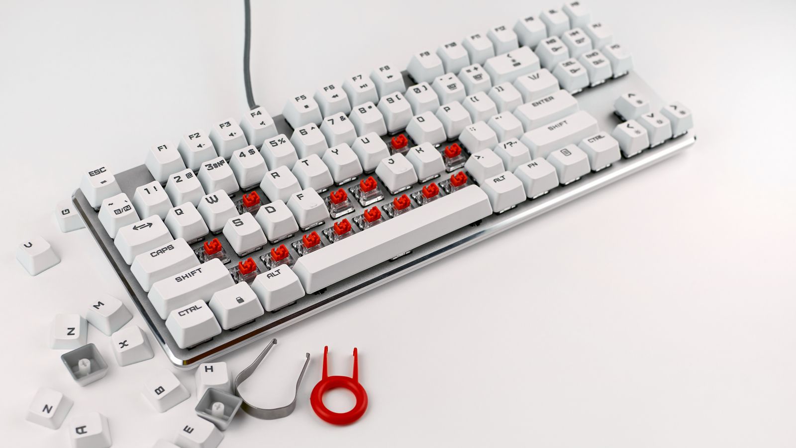 Mechanical keyboard disassembled with tools on a white backdrop