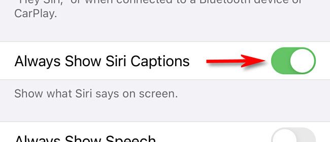 Turn on the switch beside "Always Show Siri Captions."