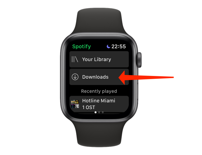 Tap "Downloads" to check which songs or podcasts have been downloaded on Spotify's Apple Watch app.