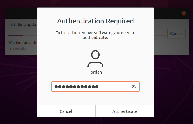 Type in your password and click Authenticate