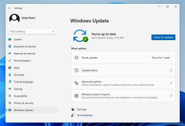 Windows Update in Windows 11 Settings.