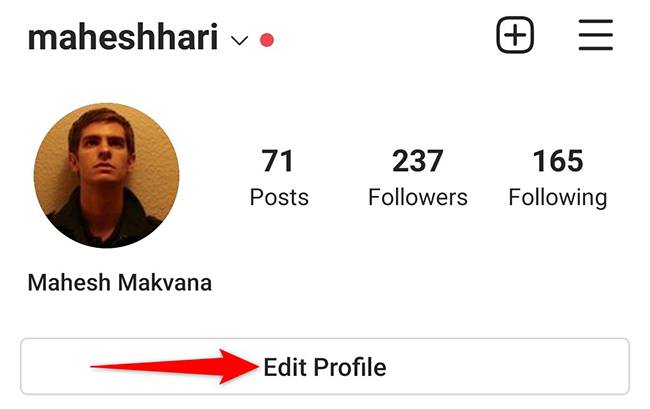 Tap "Edit Profile" on the profile page in the Instagram app.