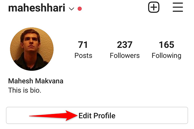 Tap "Edit Profile" on the profile page in the Instagram app.